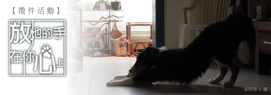 放牠的手在你心上